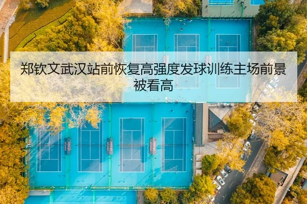 郑钦文武汉站前恢复高强度发球训练主场前景被看高